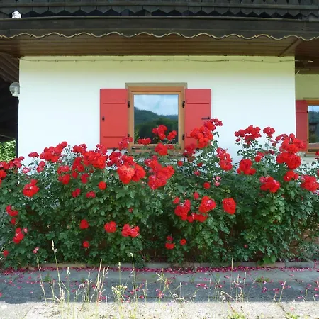 Haus An Der Kraeuterwiese Unterwössen