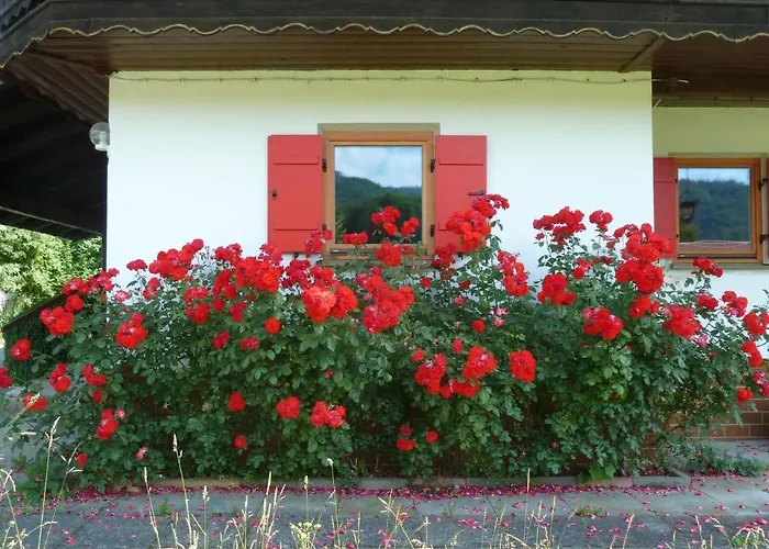 Haus An Der Kraeuterwiese Unterwössen